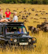 Safari por la tarde