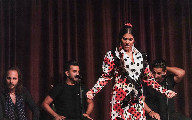 Flamenco dancers performing at Palau Dalmases, Barcelona.