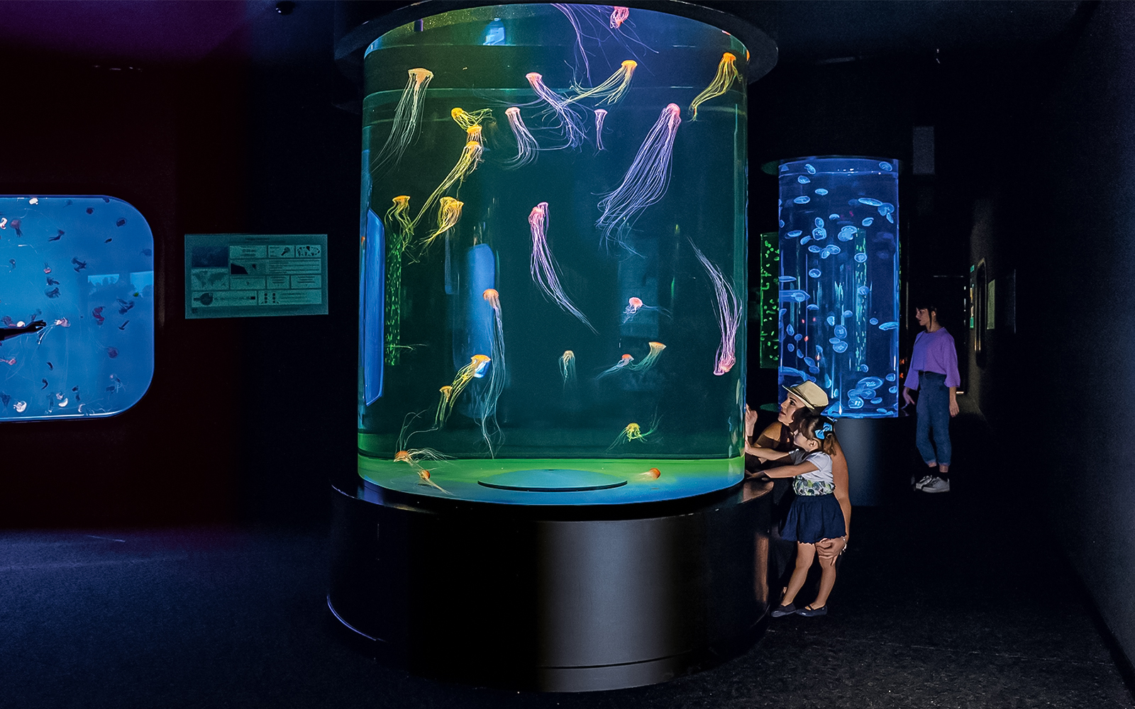 Jellyfish exhibit at Loro Park with visitors observing colorful displays.