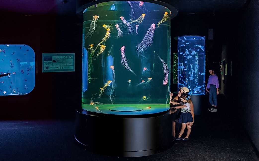 Jellyfish exhibit at Loro Park with visitors observing colorful displays.