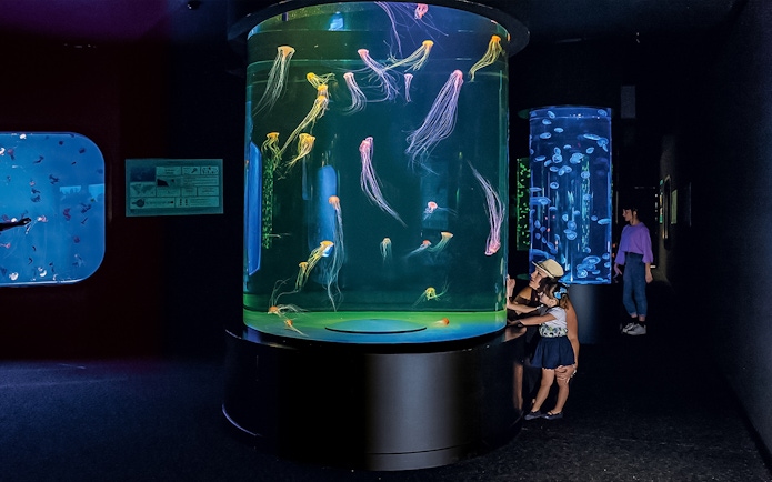 Jellyfish exhibit at Loro Park with visitors observing colorful displays.