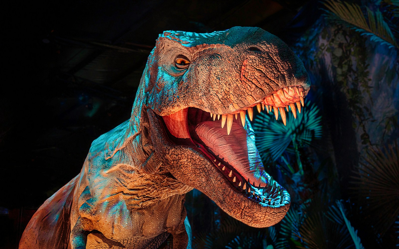 T rex dinosaur model