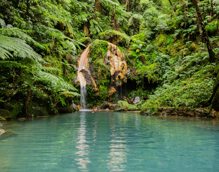 Natural hot spring at Caldeira Velha with waterfall in Sao Miguel, Azores, Portugal.