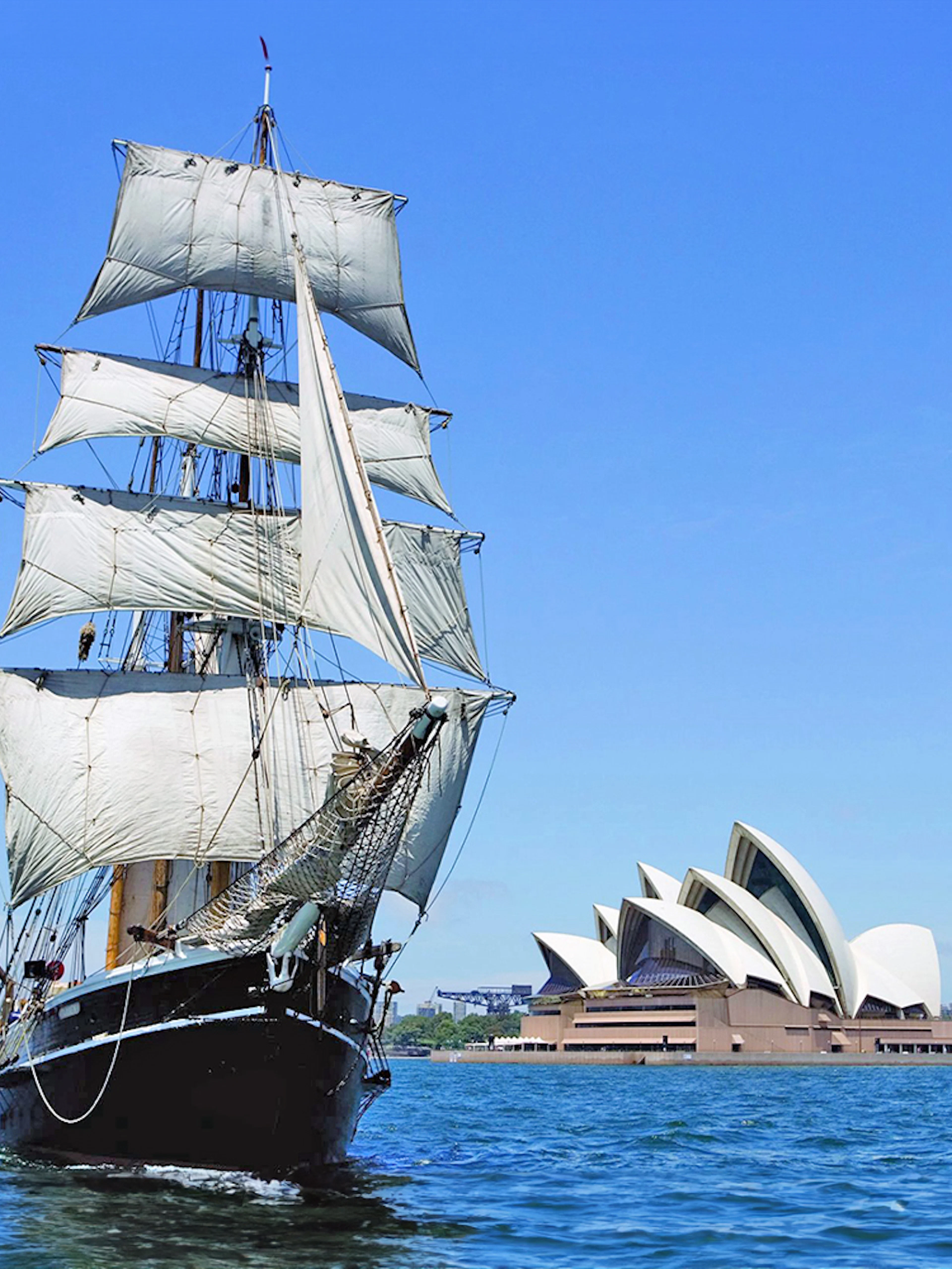 Tall ship sailing in Sydney Harbour with Sydney Opera House in the background.