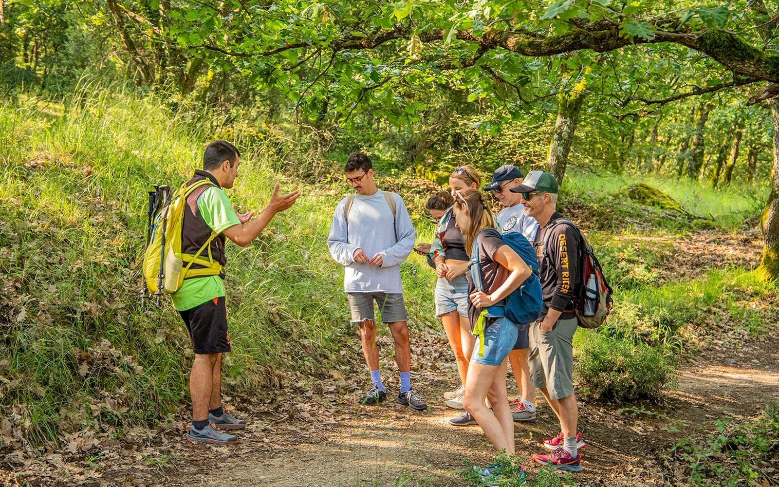 Guests listening to a guide during a hike in the forest on the Meteora Hiking Tour.