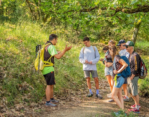 Walk through secluded trails