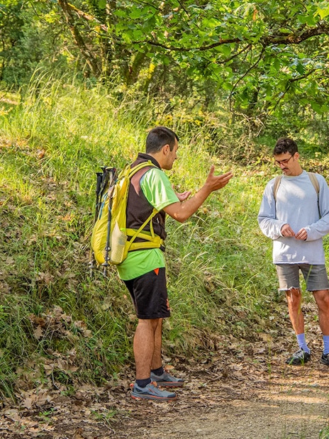 Guests listening to a guide during a hike in the forest on the Meteora Hiking Tour.