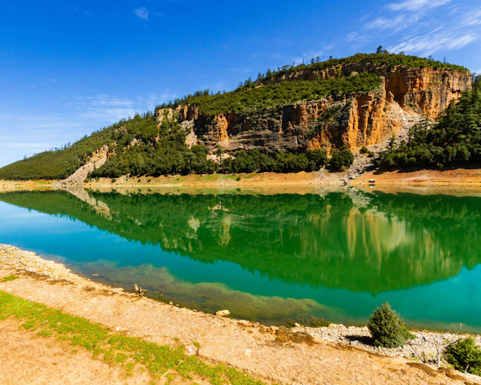 From Fes: Day Trip to Middle Atlas Mountains & Monkey Forest with Barbary Macaques