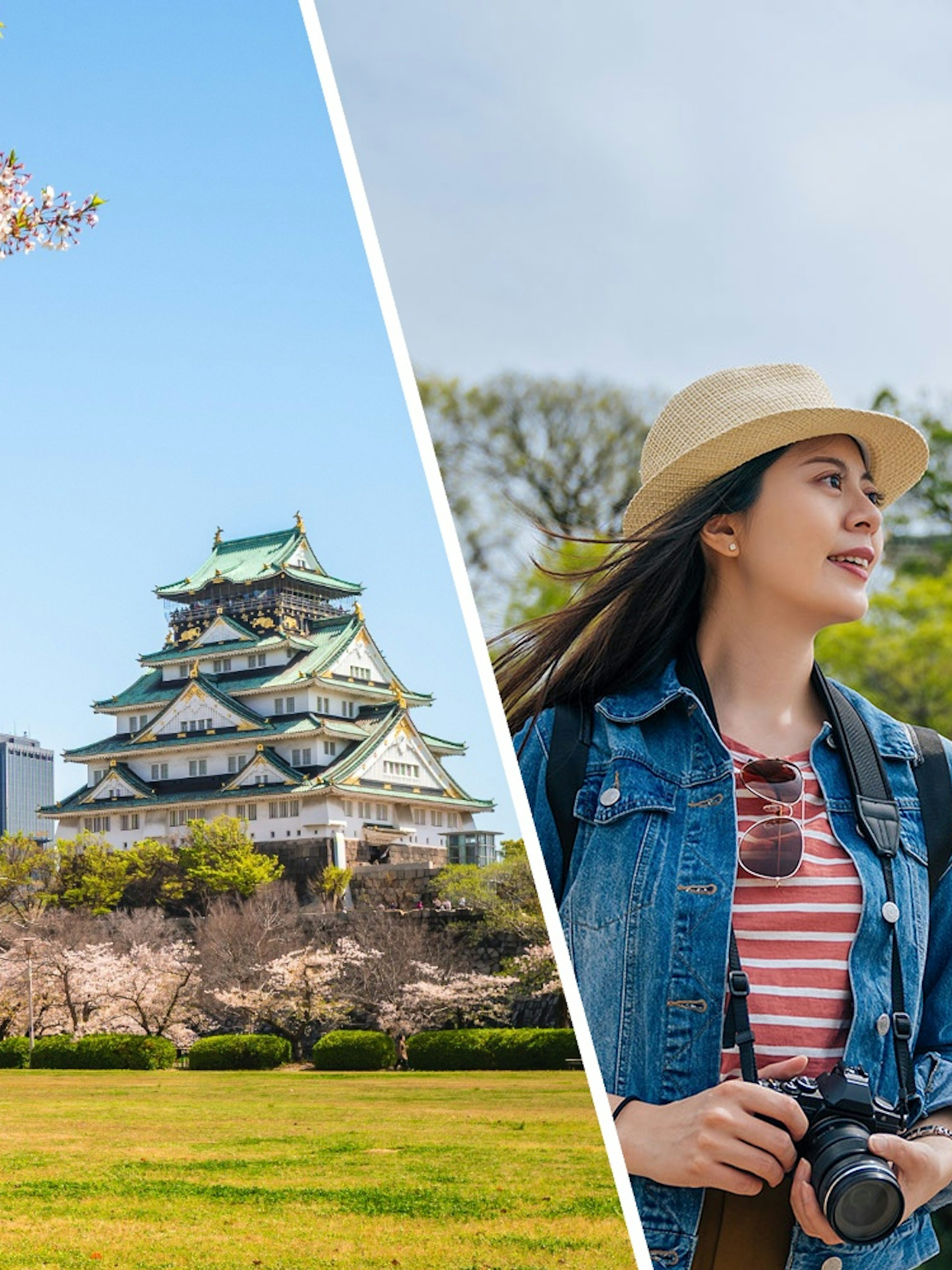 Nishinomaru Garden with cherry blossoms and Osaka Castle in the background, Japan.