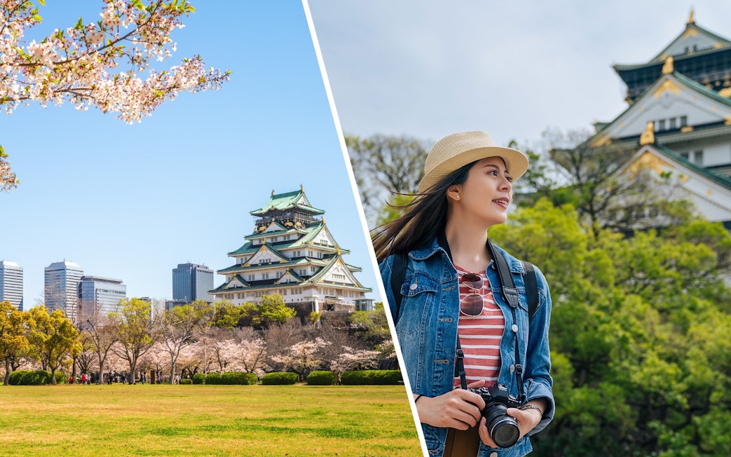 Nishinomaru Garden with cherry blossoms and Osaka Castle in the background, Japan.