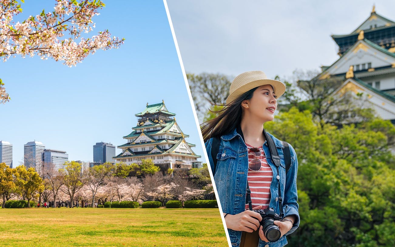 Nishinomaru Garden with cherry blossoms and Osaka Castle in the background, Japan.