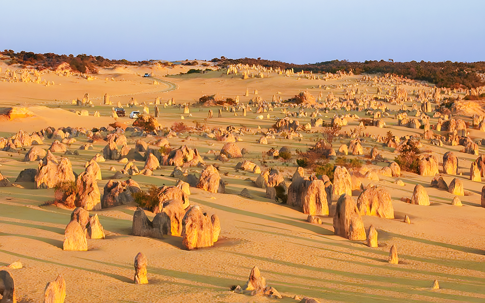 Pinnacles Desert limestone formations in Nambung National Park, Western Australia.