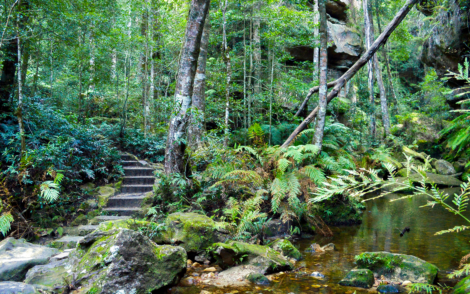 Blue Mountains tickets