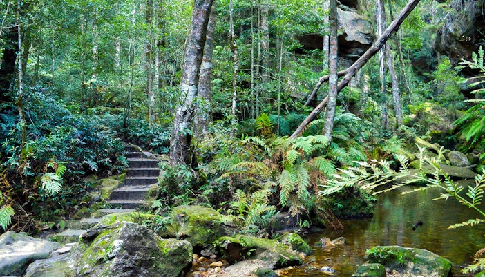 Blue Mountains tickets