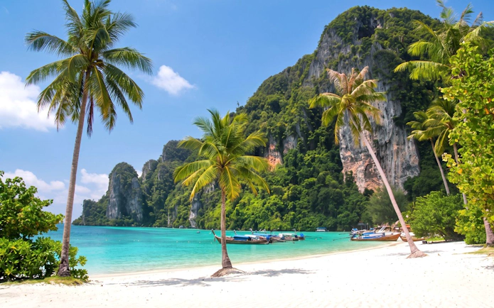 Phi Phi Islands beach with palm trees, turquoise water, and speedboats near limestone cliffs.
