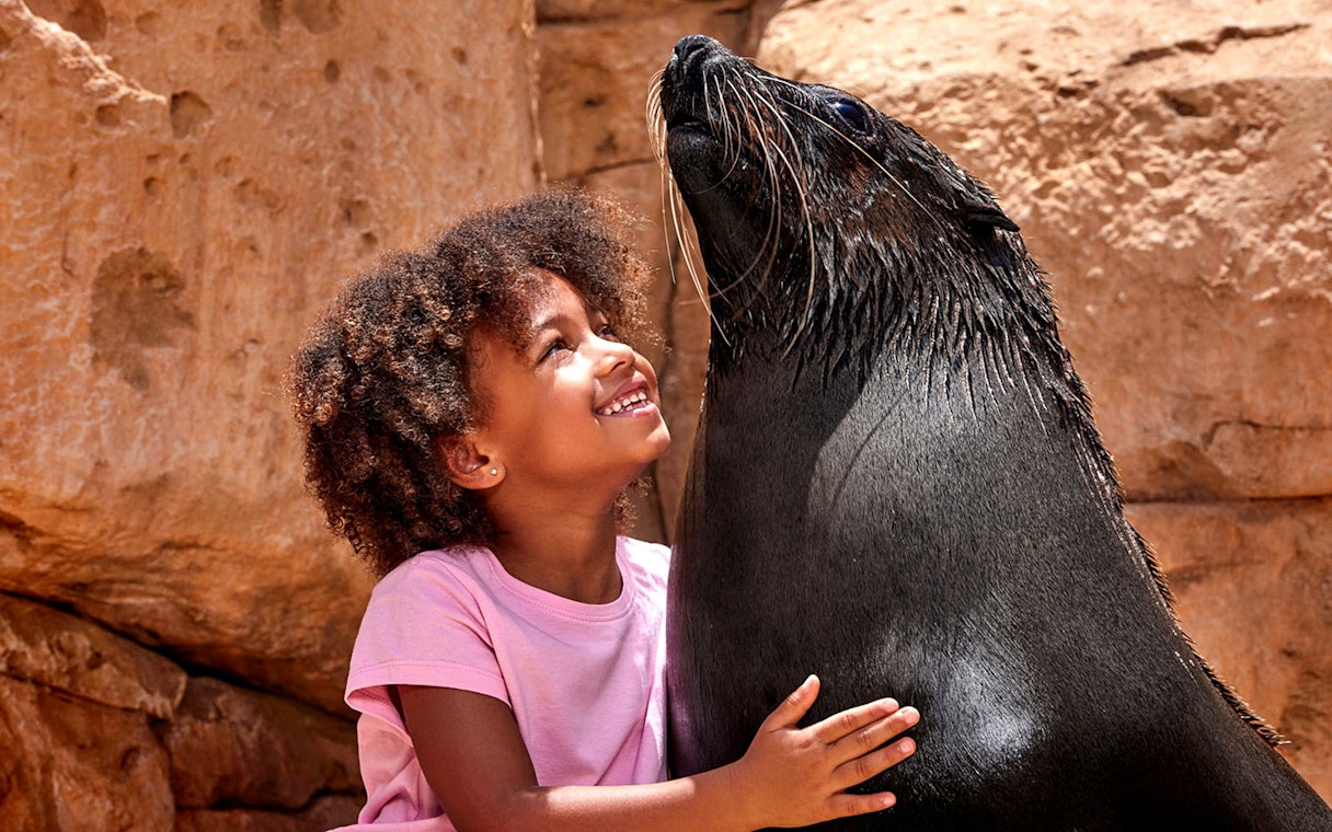 Girl smiling while patting a sea lion against a rocky backdrop.