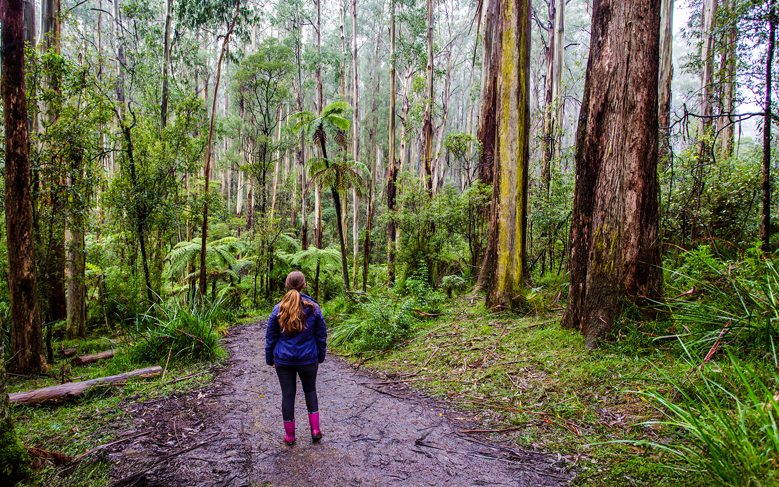 Woman walking on a forest trail in the Dandenong Ranges, Australia.