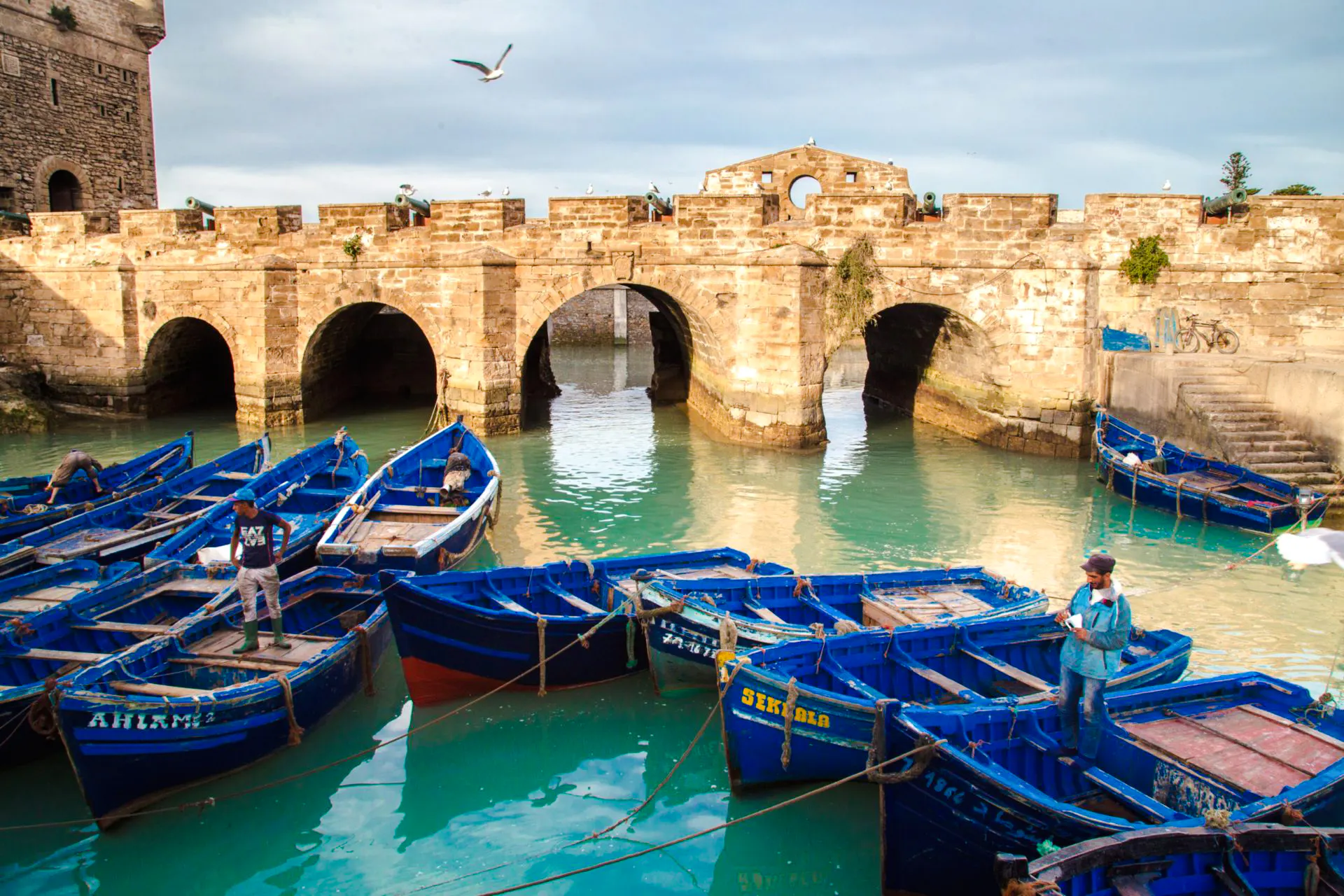 from taghazout: essaouira day trip-1