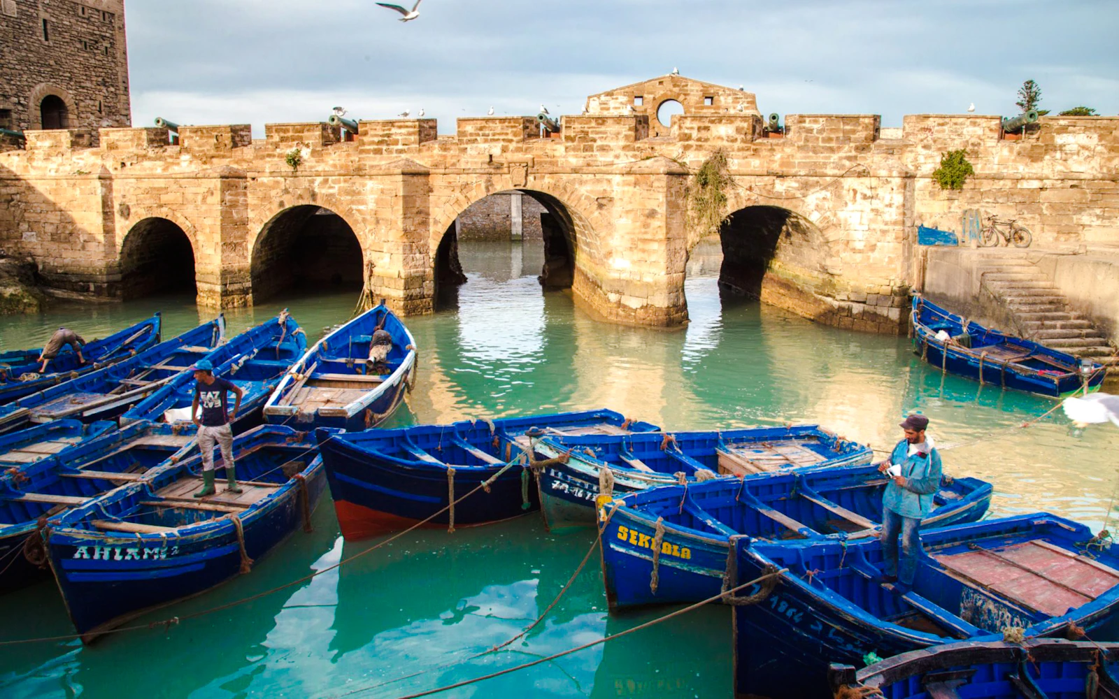 From Taghazout: Essaouira Day Trip
