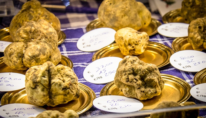 Alba White Truffle Festival in Italy showcasing truffle displays and local culinary experiences.