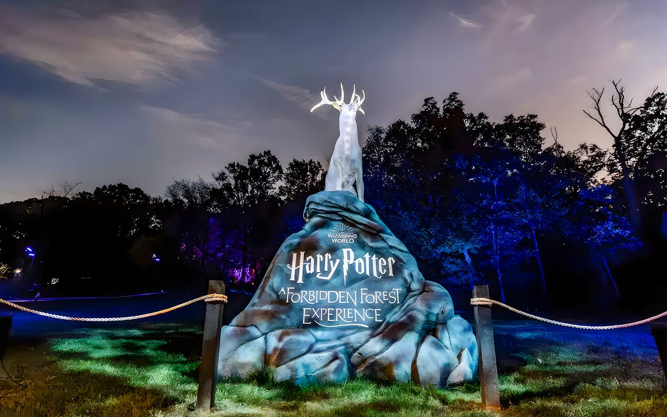 Entrance to A Forbidden Forest Experience in Melbourne with illuminated stag statue.
