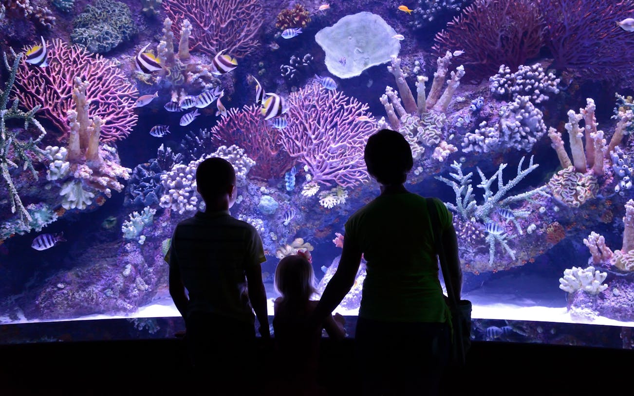 antalya: aquarium, wax museum & combo package options-5