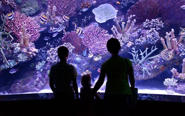 antalya: aquarium, wax museum & combo package options-5