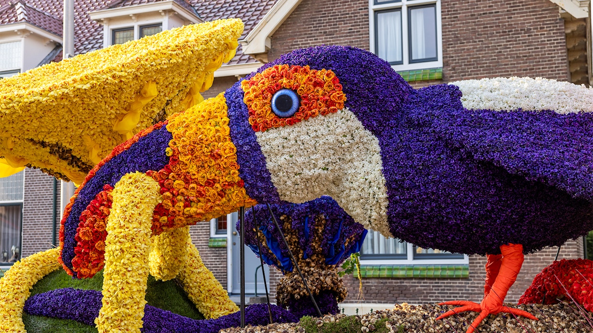Bird sculpture crafted from tulips and hyacinths at the Flower Parade Bollenstreek, Noordwijkerhout.
