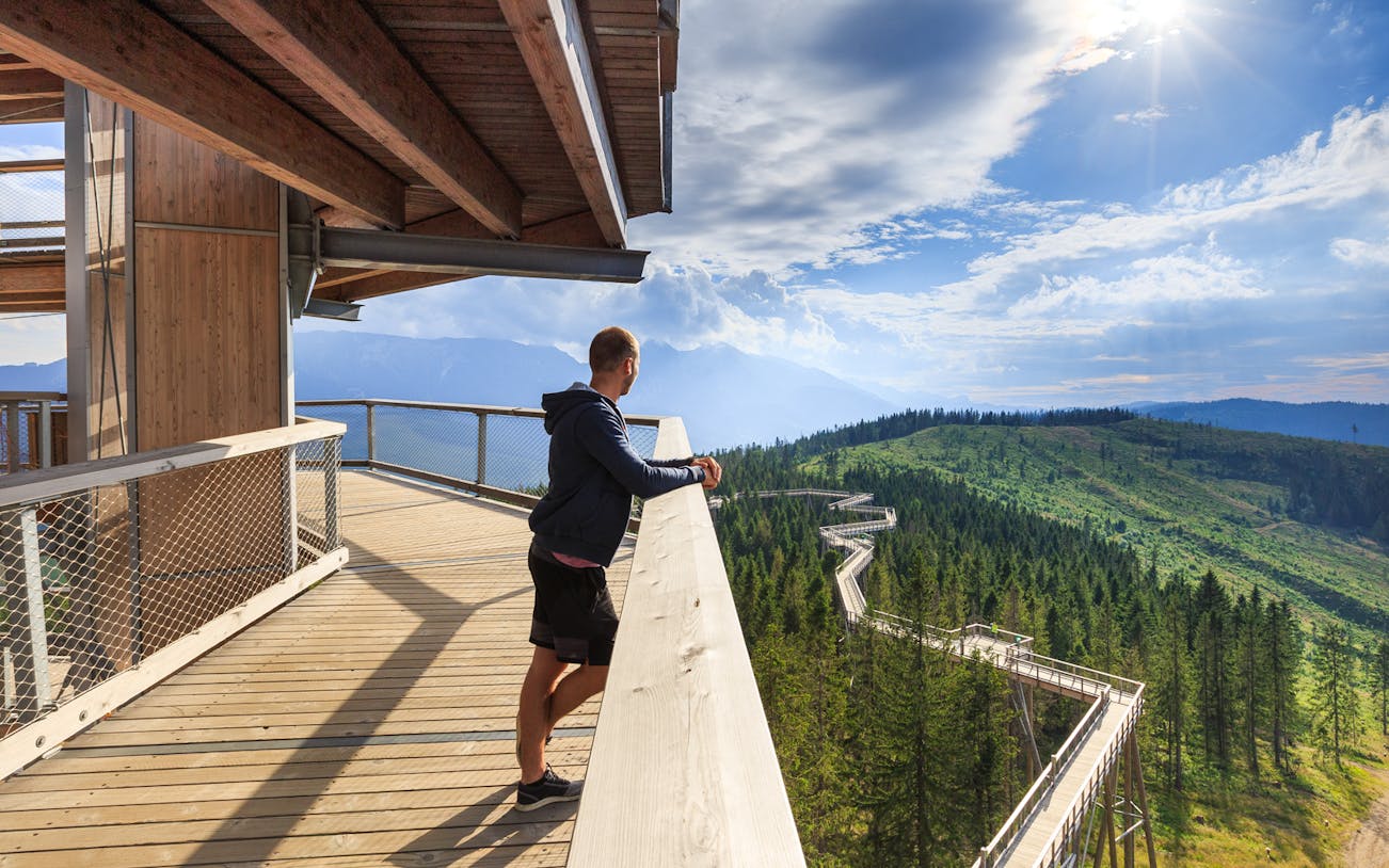 Man enjoying view from Slovakia Treetop Walk during full-day guided tour.
