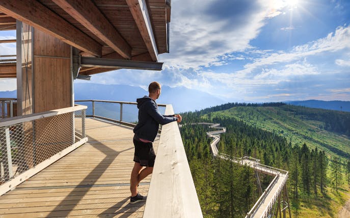 Man enjoying view from Slovakia Treetop Walk during full-day guided tour.