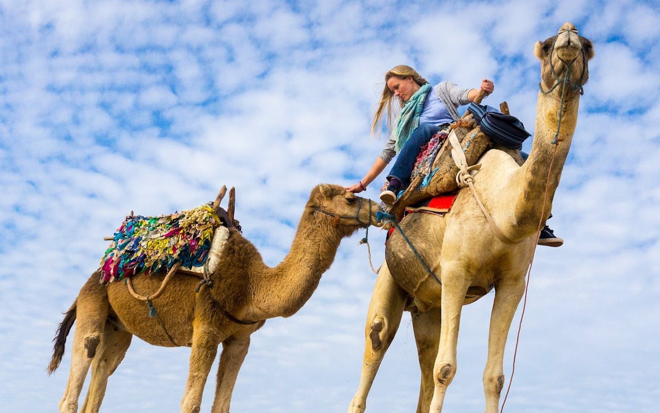 plimbare pe cămilă de 2 ore, pachet premium: deșert și mare uimitoare - hurghada-5
