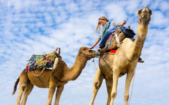 premium 2 saatlik deve binme turu: muhteşem çöl ve deniz - hurghada-5