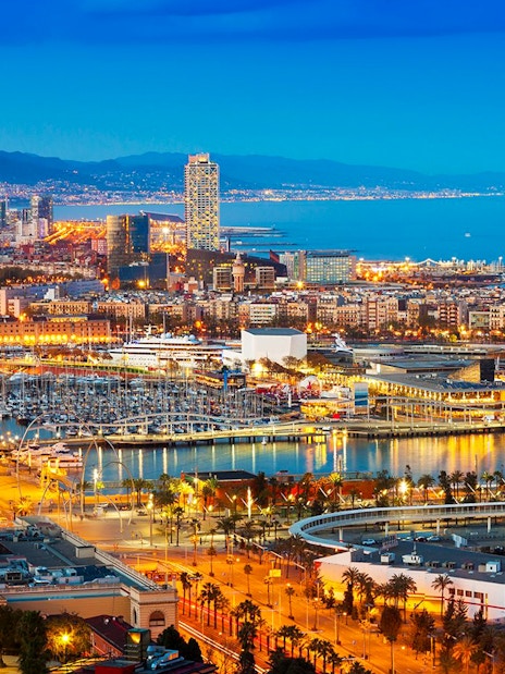 Monaco skyline at night with illuminated harbor and cityscape.