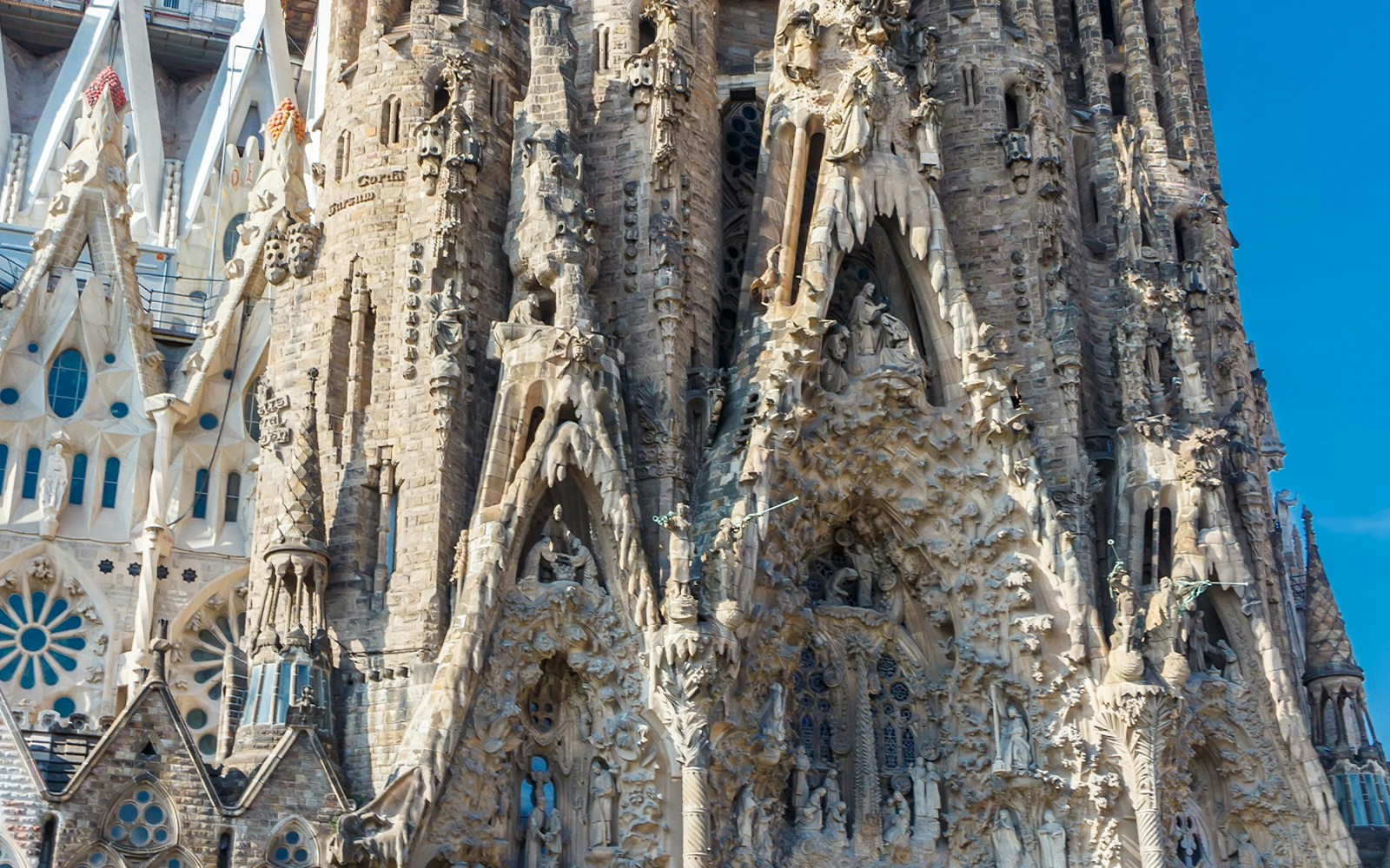 Sagrada Familia Nativity Facade tree trunk column detail in Barcelona, Spain.