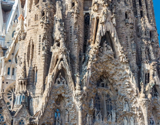 Sagrada Familia Nativity Facade - Tree Trunk Column