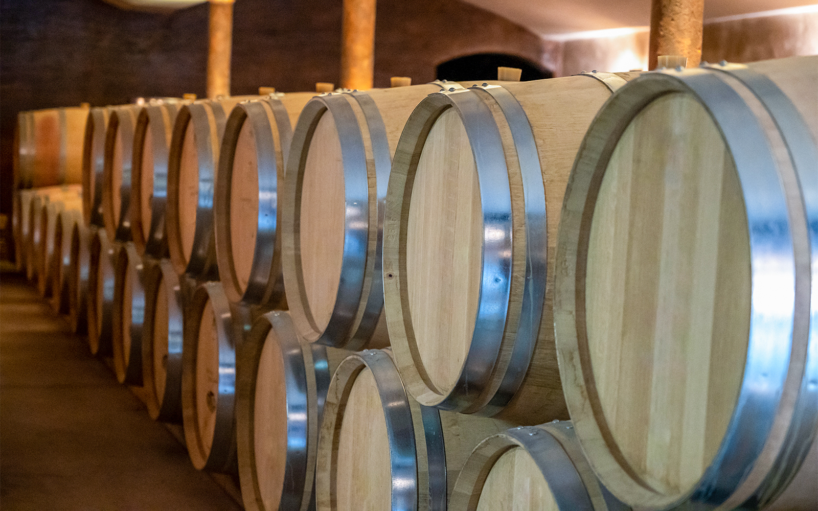 Wine Tours in Provence