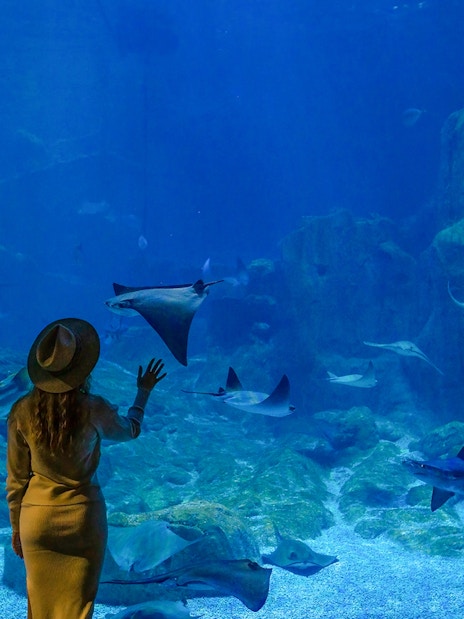 Visitor observing marine life at Istanbul Aquarium.