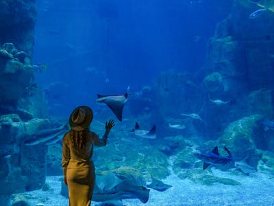 SEA LIFE Val d'Europe