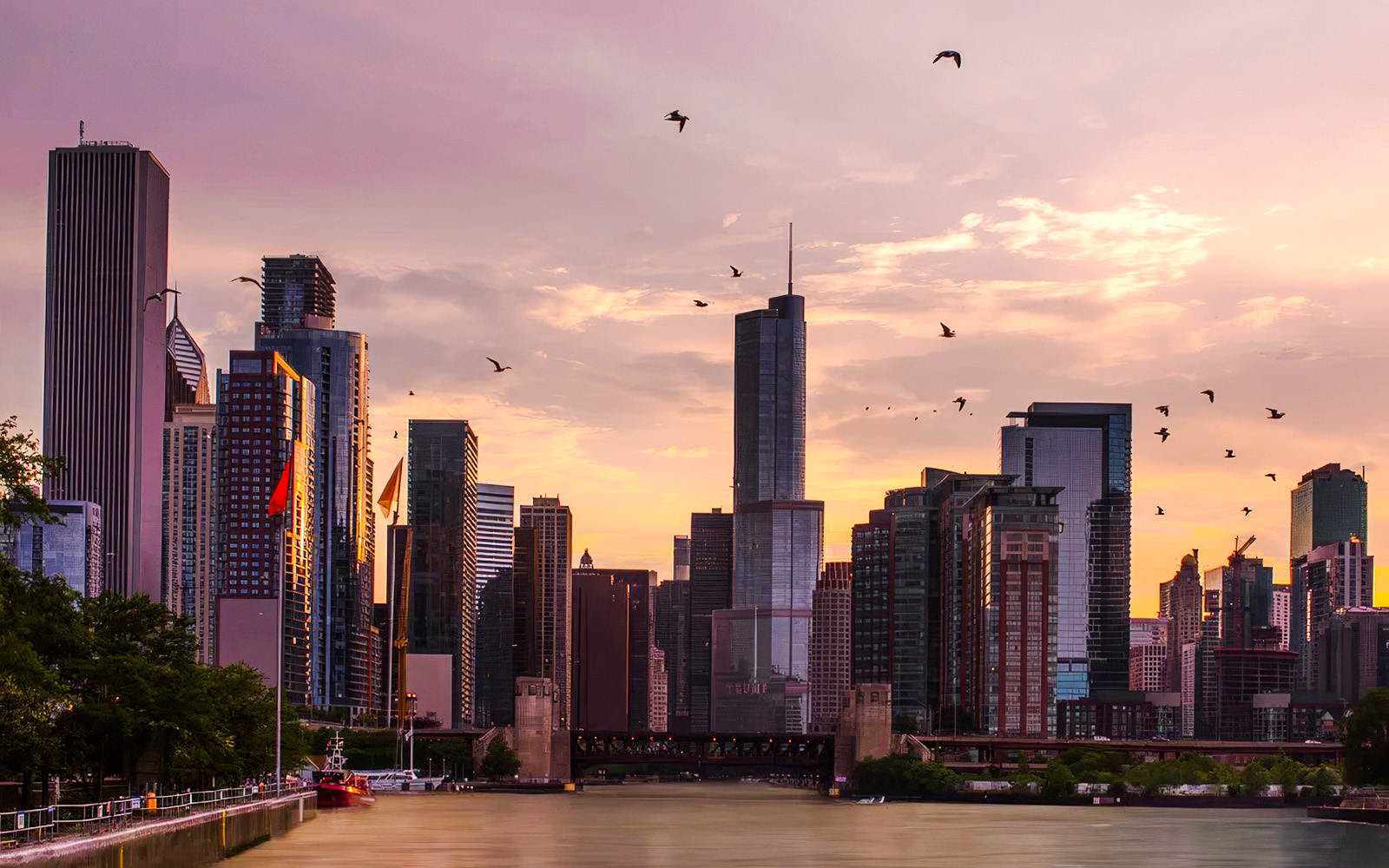 Chicago skyline at sunset with skyscrapers and birds over the river.