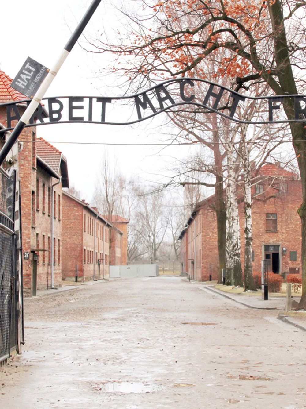 Auschwitz from Wroclaw
