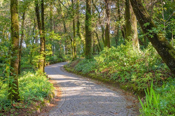 biglietti d'ingresso a tempo prefissato al parco e al palácio da pena-6