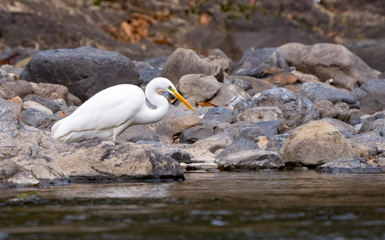 Payah Indah Discovery Wetlands