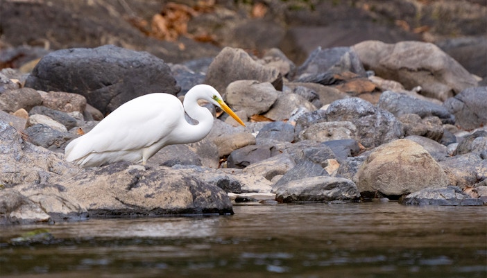 Payah Indah Discovery Wetlands