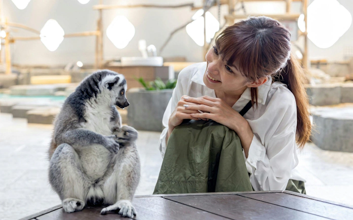 Person interacting with a lemur at NIFREL Interactive Aquazoo.