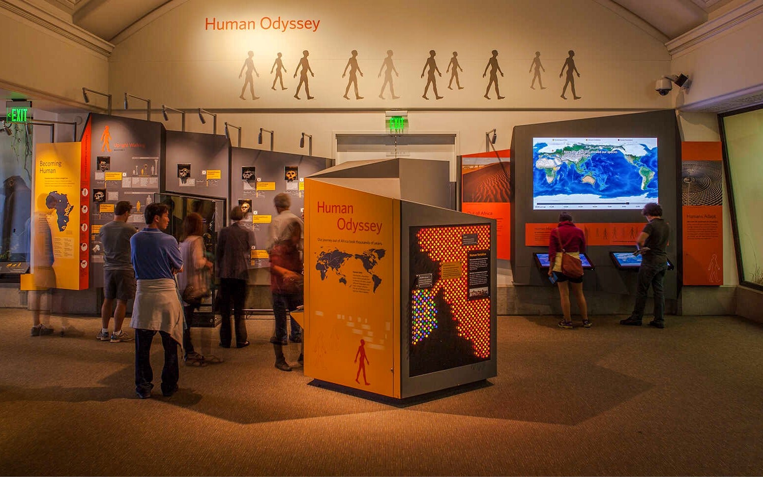 Visitors exploring Human Odyssey exhibit, African Hall, California Academy of Sciences.