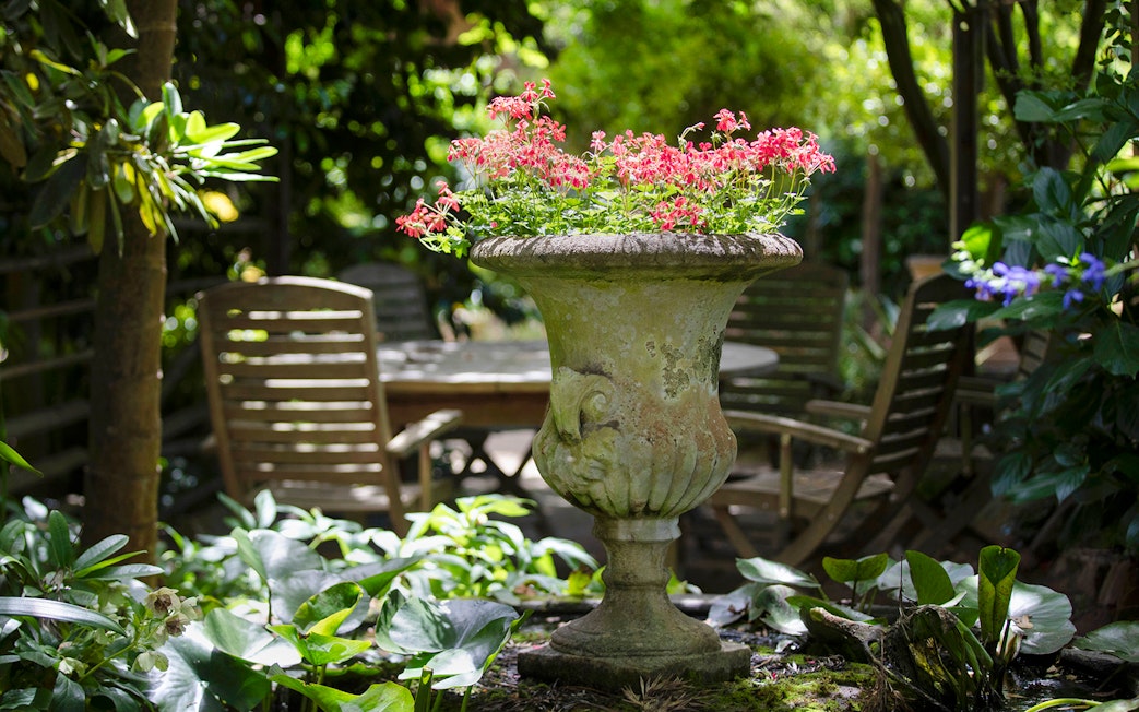 Stone urn with pink flowers at Aschombe Maze & Lavender Gardens, surrounded by greenery and wooden chairs.