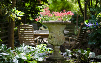 Stone urn with pink flowers at Aschombe Maze & Lavender Gardens, surrounded by greenery and wooden chairs.