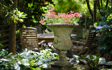 Stone urn with pink flowers at Aschombe Maze & Lavender Gardens, surrounded by greenery and wooden chairs.