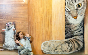 Person posing with 3D art of a giant cat and mouse at Big Fun Museum & Museum of Illusions.