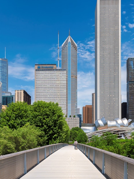 Downtown Chicago skyline viewed from Millennium Park, Chicago, Illinois.